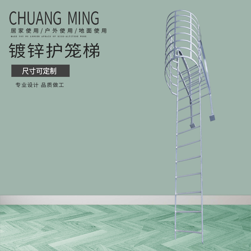 Galvanized cage ladder